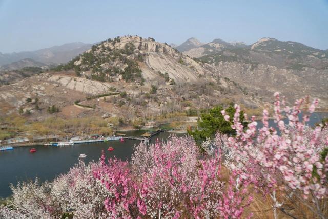 临沂花式闹元宵全攻略：灯会、赏花、优惠、演艺一键收藏！