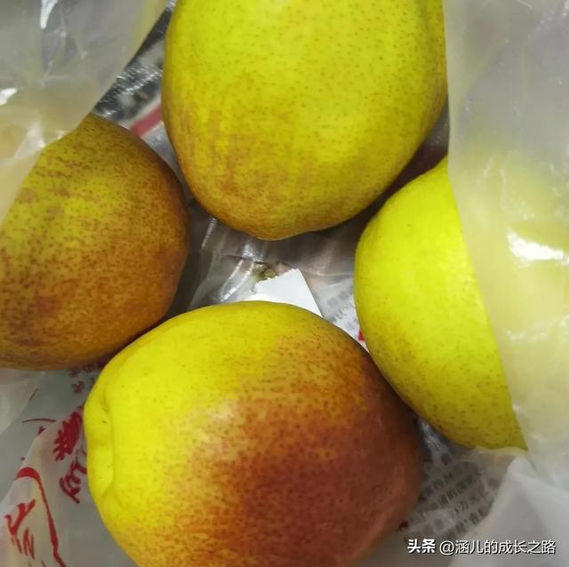 最新天津极地海洋馆一日游攻略——亲测实用!所有演出都可看完!