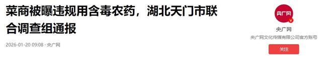央视曝光“毒蔬菜”！0.08克便可致器官衰竭，已流窜到全国多地