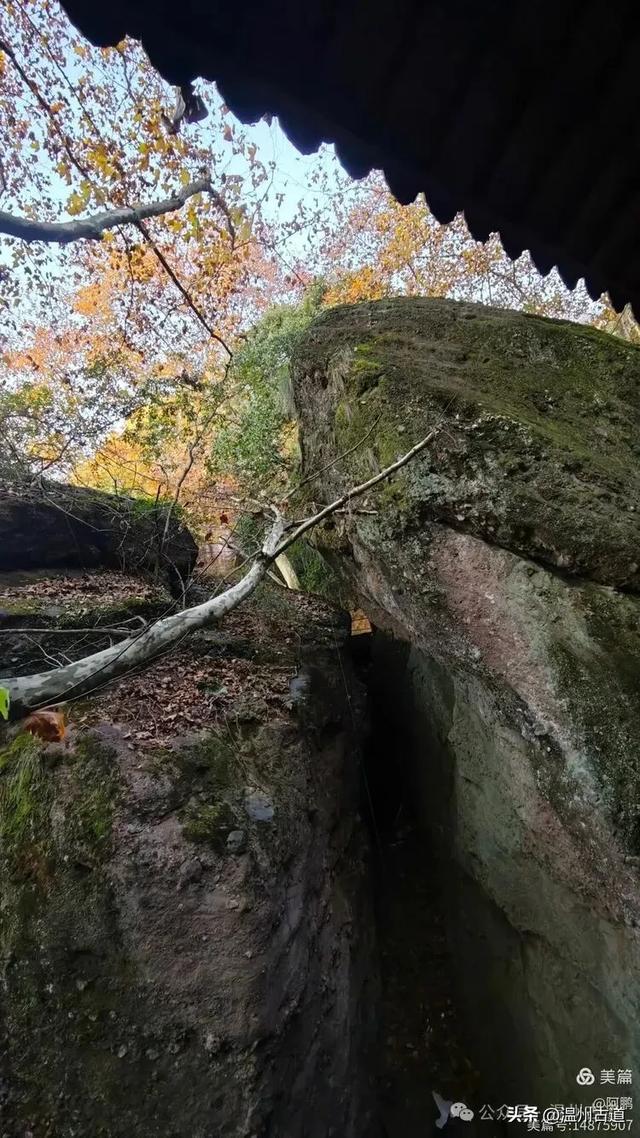 浙处丹霞地貌秋色斑斓超壮观，秋日必打卡之地！