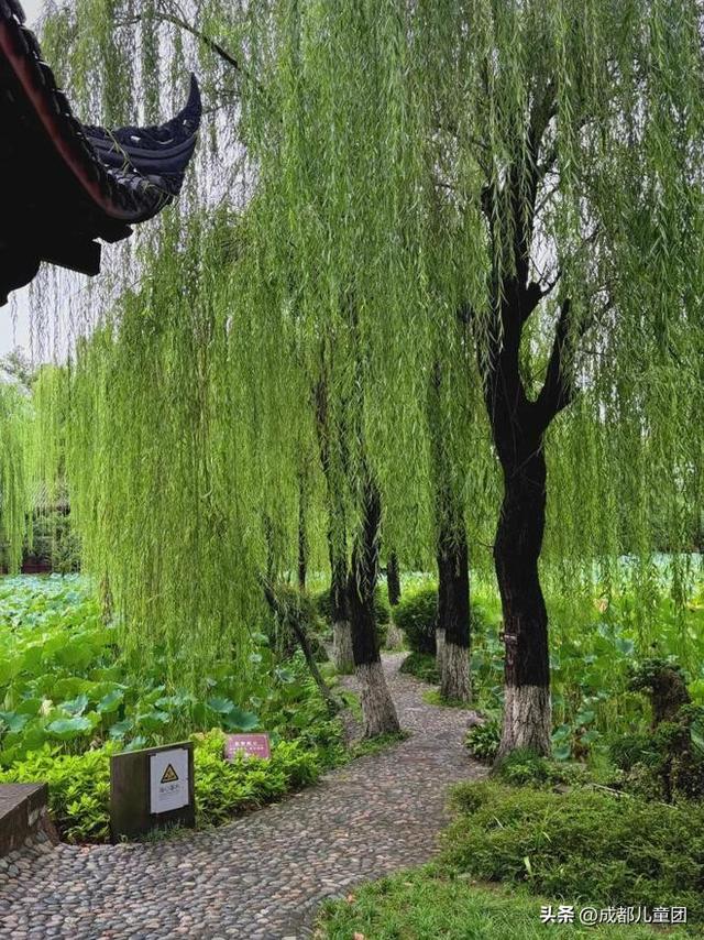 新都，被低估的好地方