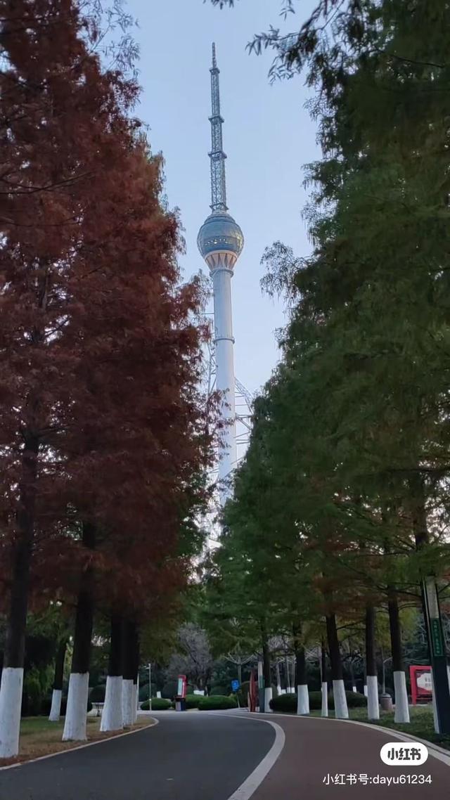 临沂秋日捡秋啦 | 把秋天，装进你的时间胶囊~