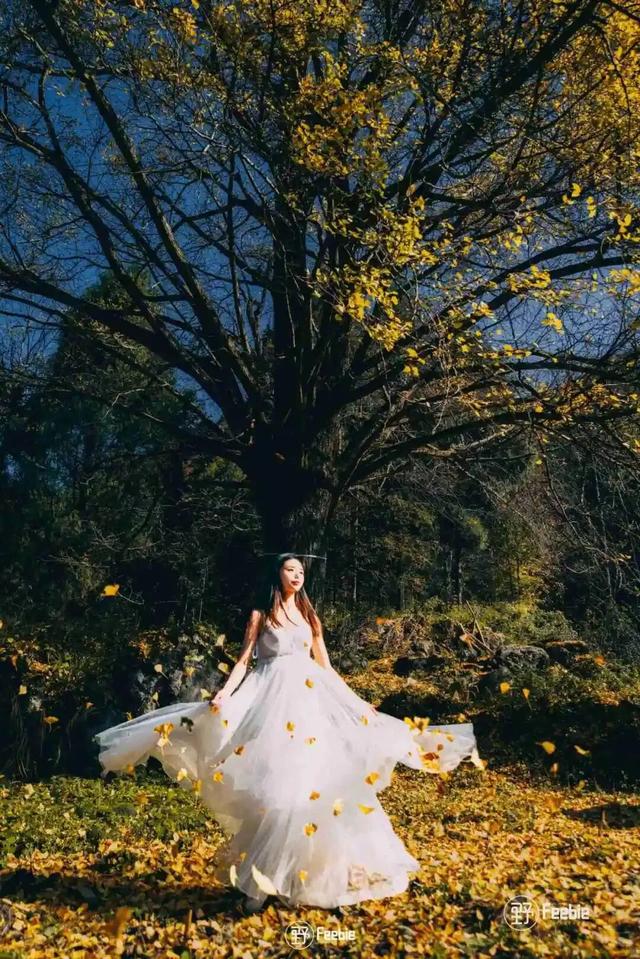 利州＝梦幻秋色打卡地