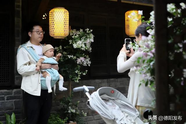 央视推荐！德阳这里彻底火了！好多人周末都在往这里跑