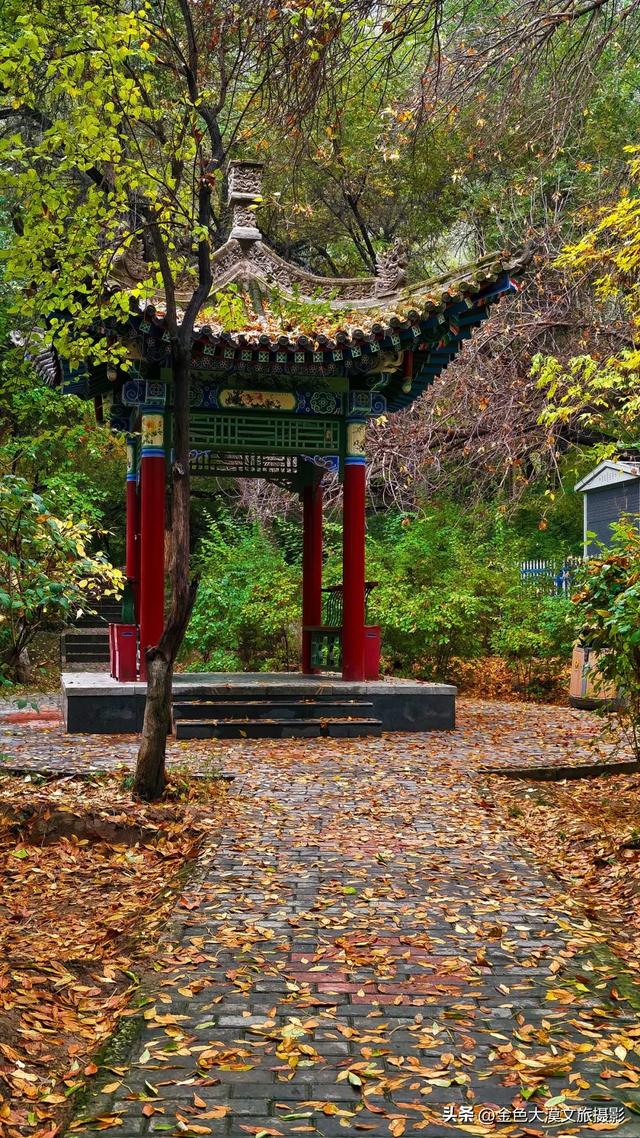 秋染五泉山:兰州城畔的千年诗意与一季斑斓