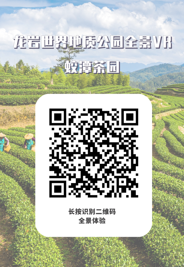 震撼！720°云端漫游龙岩世界地质公园