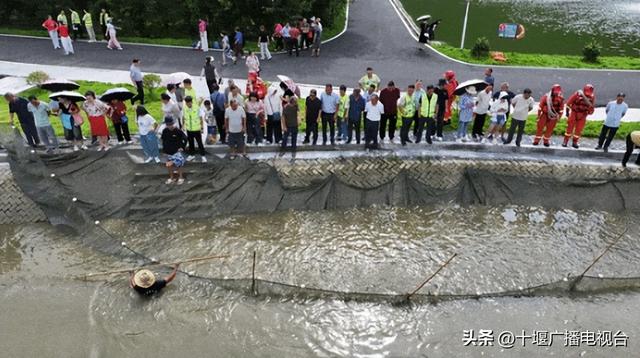 颜值＋实力！十堰这个镇厉害了！