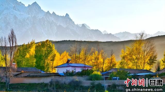 甘肃民乐：祁连山金色秋景如画卷
