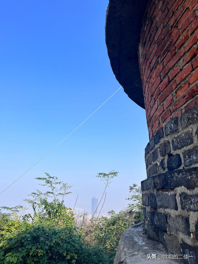 最好的爱就是陪伴——之深山里的柿子树