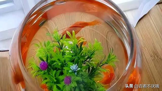 空调滴下来的水，比空调还“值钱”！很多人不知道有啥用，赶紧看