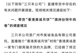 三只羊6894.91万罚款交了吗？进展如何？当地回应图片