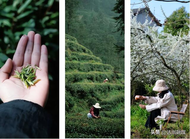 渠县元旦活动重磅来袭→快来开启2026快乐“渠”道！