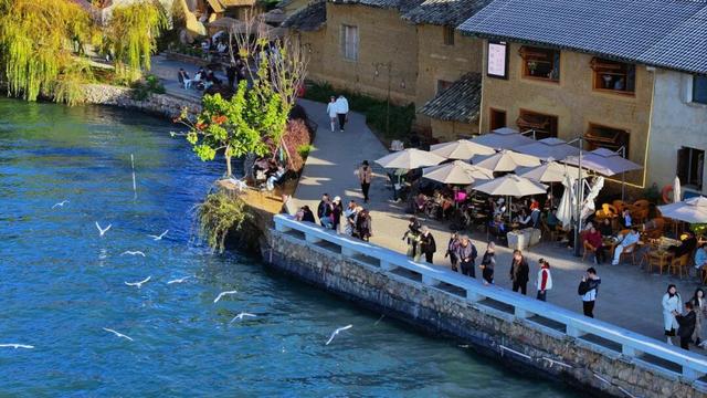 决胜“十四五” 迈上新台阶 | 滇池畔再续人鸥情 昆明擦亮春城文旅名片