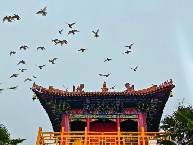 道士的庙，和尚当家：洛阳这座玉皇庙有“五奇”，免票开放！