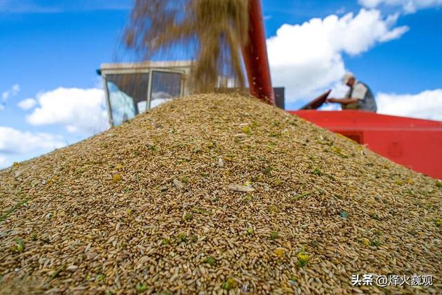 买完大豆，中国又买12万吨小麦，特朗普反手设鸿门宴，给中国挖坑