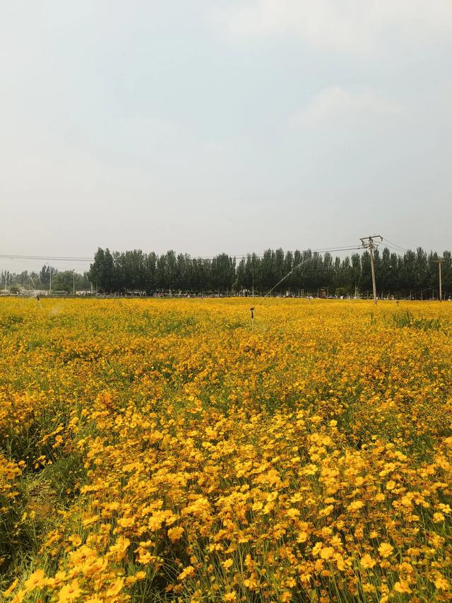 天津又一新建的公园~《山水花苑》
