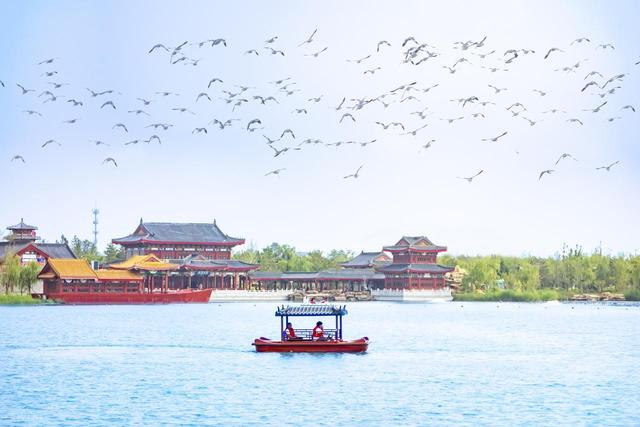 大量韩国游客涌入沧州，打着旅游幌子不去旅游不吃美食，为啥来？