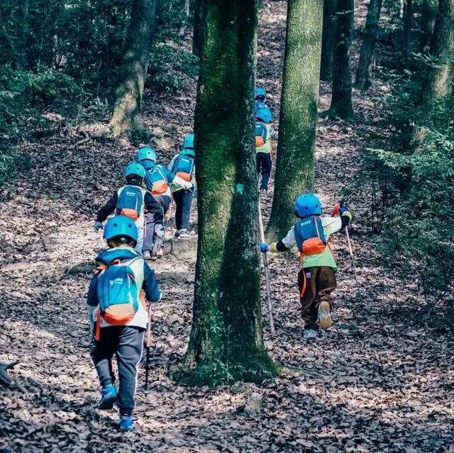 留坝元旦旅游攻略：冰雪与星空共舞的新年之约