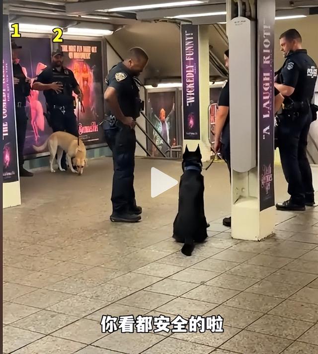 美国姐妹在中国生活10年，最近回到纽约，坐地铁时被吓到