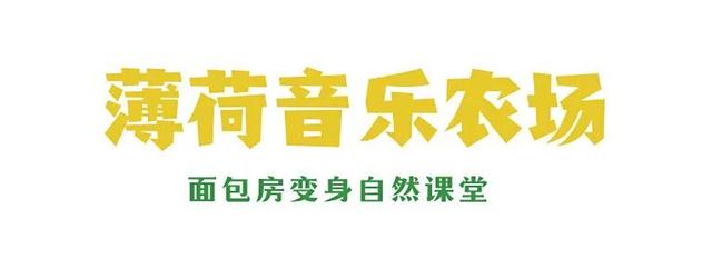 挖到长沙7个“野生宝藏地”！娃疯玩，我躺平！