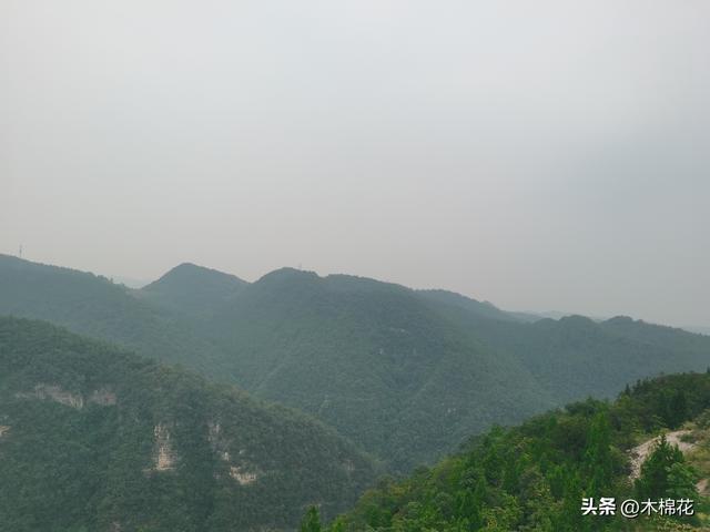 携宠出行第三天