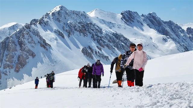 门源：金色花海“浪”出多彩经济 林海雪原“融”出富民新路