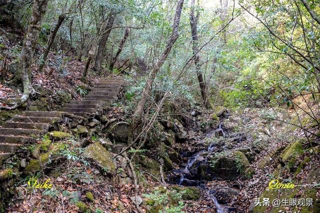 影记 | 衢州钱江源国家森林公园