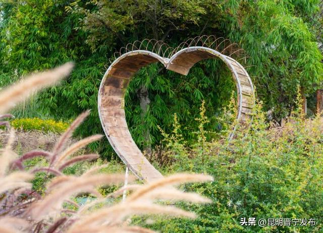 小渔村的芦苇 是治愈的良药