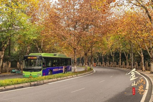 轨道直达！重庆“顶流”梧桐大道已经美到next level了！