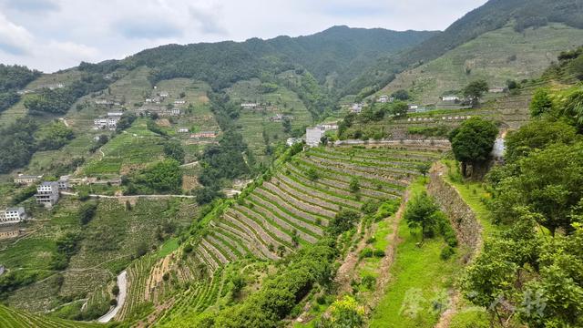 皖浙摩旅二人转——蜈蚣岭篇（下）