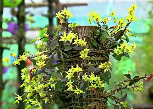 特别出片！潍城这里的“深秋限定”已到货，等你打卡