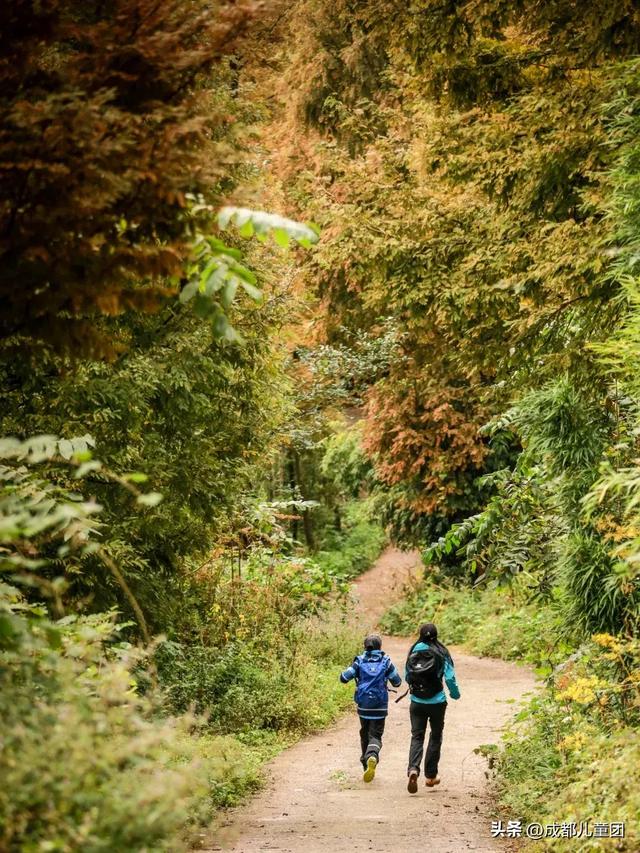 成都周边8条赏秋彩林线,人少景美,12年资深徒步玩家推荐