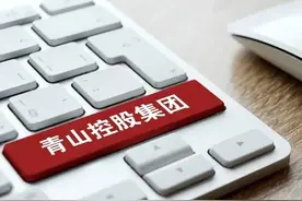 中国不锈钢巨头青山集团在国内直接出资的17家企业图片
