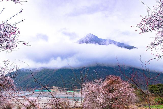 2-3月适合去哪里旅行，这6个地方，赴一场春日之约，看看好春光