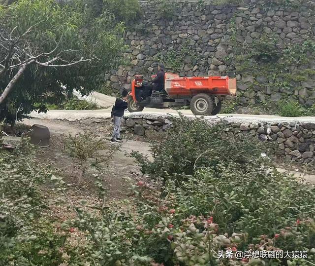 在邹平上回村可以攀爬摩诃峰，但俺没爬，俺买了农家菜打了山泉水