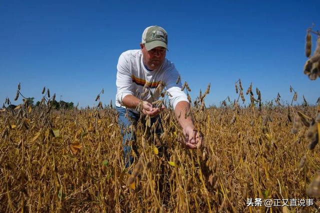美方最后时刻紧急撤回100%关税，高喊刀下留人，中方铡刀准时落下