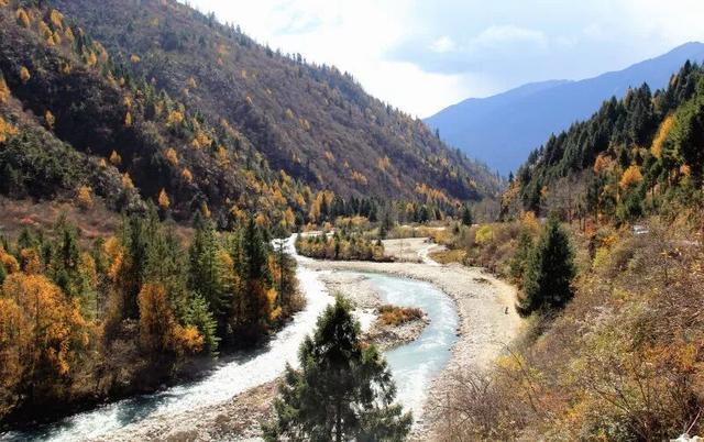 秋日西藏限定美景上线！摄影师私藏机位，拍出无敌风光大片