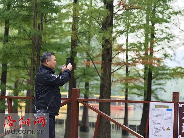 秋日限定，散步即达！洛阳各公园秋景观赏攻略请收好