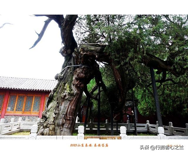 山东行游影记（307）—泰安岱庙（三）