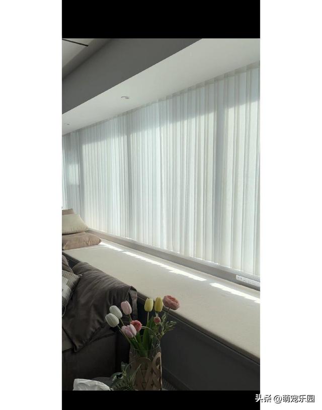 127平小窝住半年，家里主子爱窗台垫，朋友追着问来历