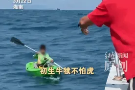海上漂了一夜的小孩，又不见了？知情人透露“调皮黑历史”图片