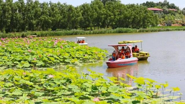 【白银文旅】在白银邂逅黄河之美！荷塘寻幽、花海打卡、露营观星，这份文旅攻略请收好