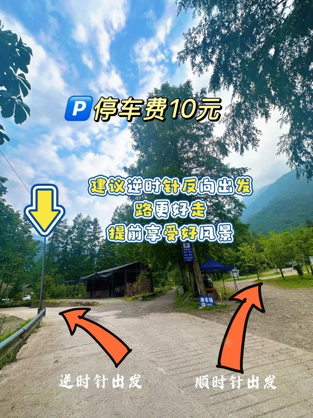 比青城山冷门100倍！成都1.5h直达冷门秘境+千年古树+迷雾森林