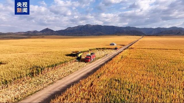 中国又创造了一大“奇迹”，14亿人将受益！让海外人士都惊呆了！