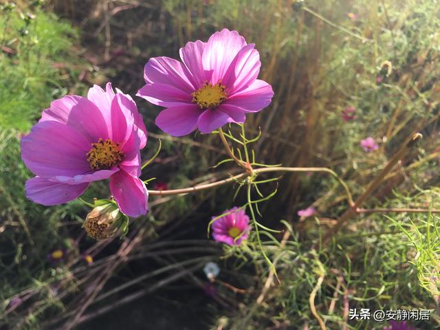 深秋之游——五大连池，因为它的博大，才有苍凉之美的深远