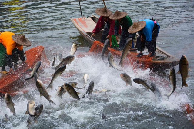 GO!皖南最舒服的温度，就该去新安江山水画廊乘船入画！