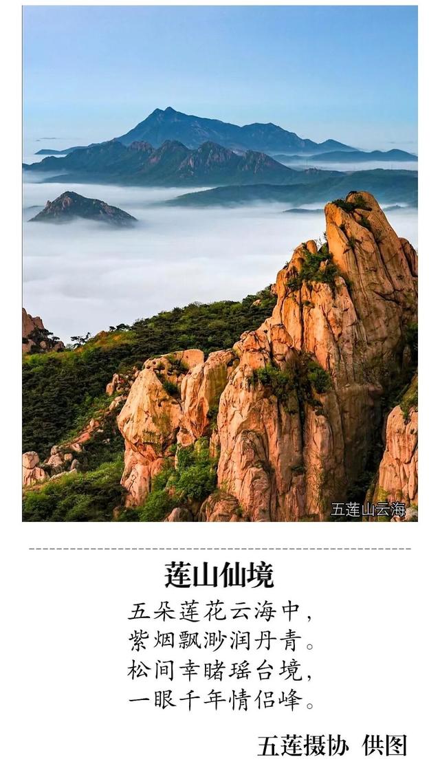 藏不住了！初秋的惊艳！就在日照这些地方！
