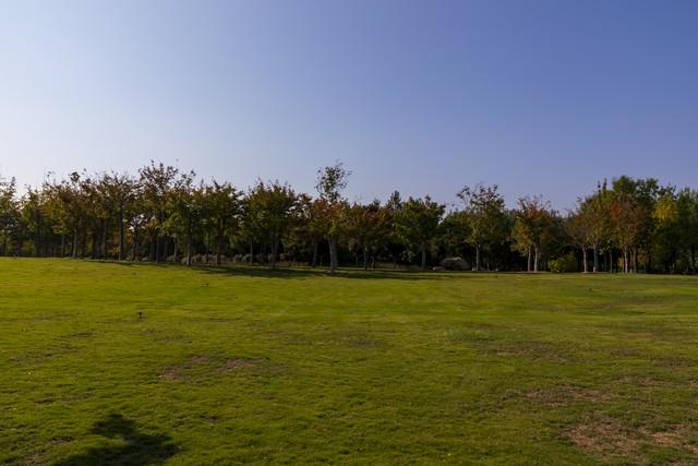 一个人不尊重你时	，不要沟通，不要愤怒，只需记住"海格力斯效应"