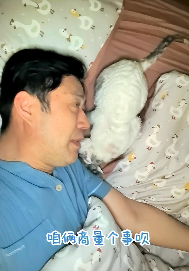 53岁刘钧现状：住北京郊区别墅	，一直未婚与小猫作伴，自己做饭吃