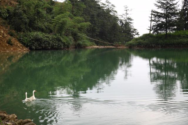 穿越迷雾森林，邂逅云端仙境，我找到了杭州最原始的徒步路线！